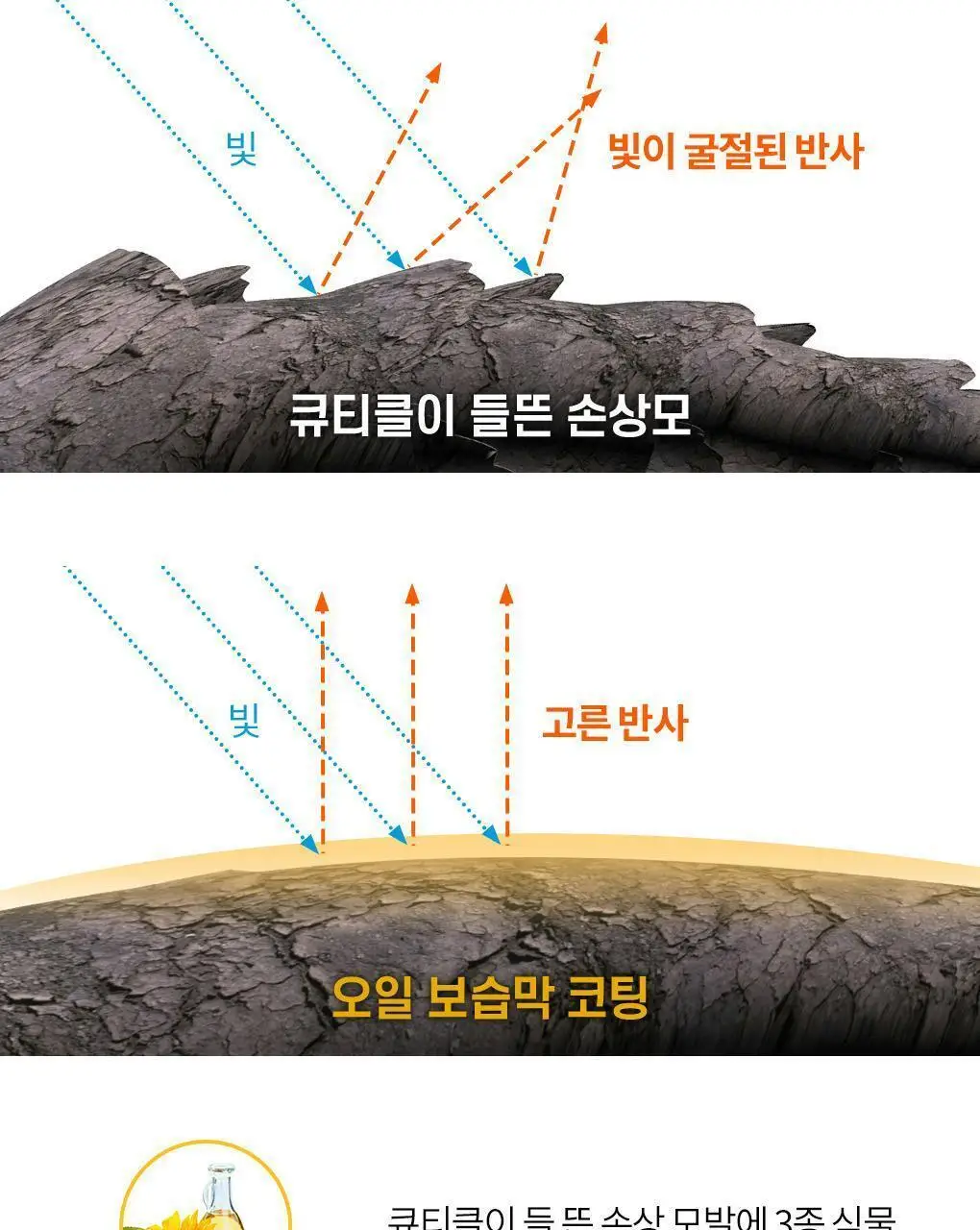 [극손상모발 & 스타일링] 클로란 쿠푸아수 버터 리페어 샴푸 400ml 상세페이지 10